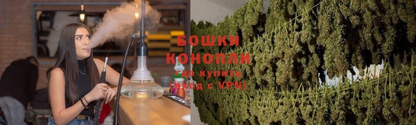 соль ск Краснослободск