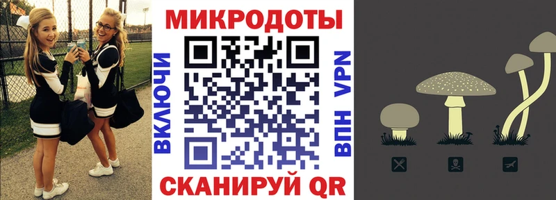 Псилоцибиновые грибы GOLDEN TEACHER  OMG рабочий сайт  Медвежьегорск 