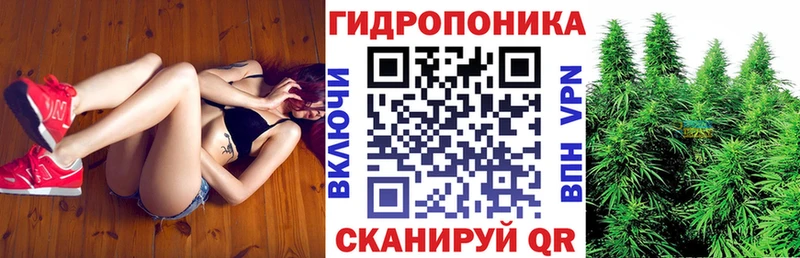 Бошки марихуана SATIVA & INDICA  ссылка на мегу онион  Медвежьегорск  как найти закладки 